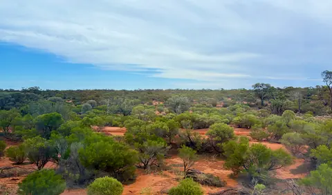 Photo 14 de la galerie L’AUSTRALIE GRAND LUXE Le train Indian-Pacific