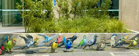 Photo 15 de la galerie L’AUSTRALIE GRAND LUXE Perth Fremantle et Rottnest