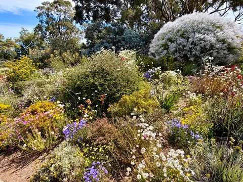 Photo 22 de la galerie L’AUSTRALIE GRAND LUXE Perth Fremantle et Rottnest