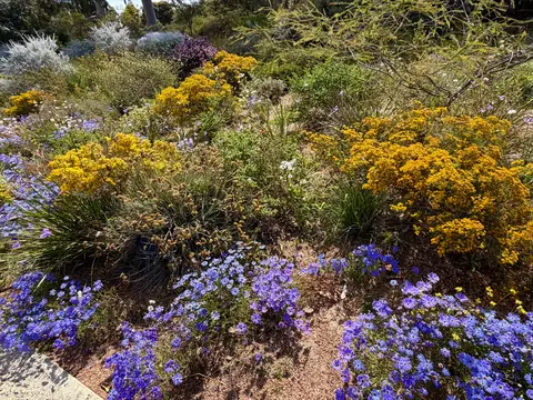 Photo 25 de la galerie L’AUSTRALIE GRAND LUXE Perth Fremantle et Rottnest