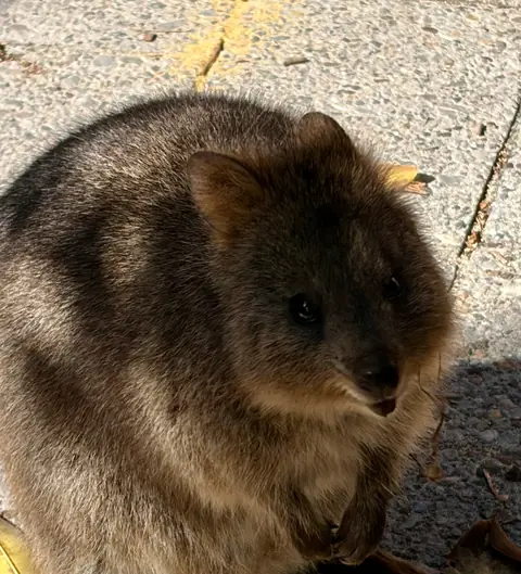 Photo 47 de la galerie L’AUSTRALIE GRAND LUXE Perth Fremantle et Rottnest