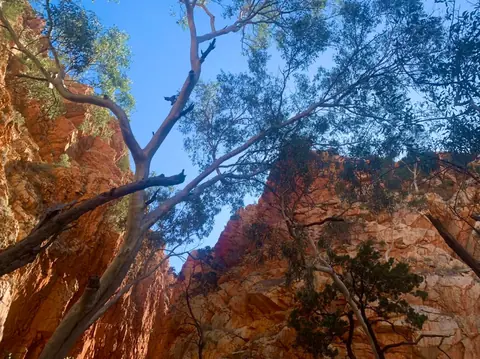 Photo 58 de la galerie Australie, le centre rouge