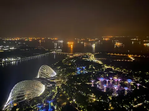 Photo 64 de la galerie Singapour et Malaisie