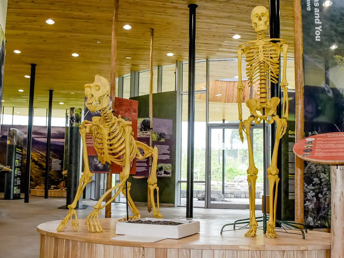 Ellen DeGeneres Campus of the Dian Fossey Gorilla Fund