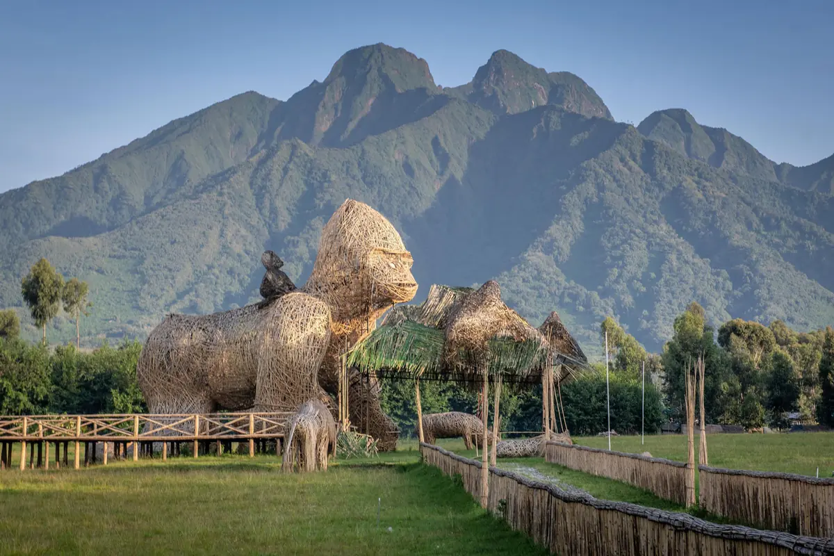 Musanze et le parc national des Volcans