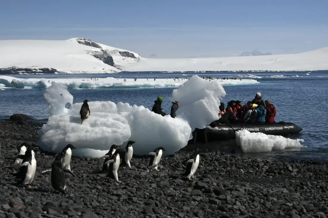 Île Paulet