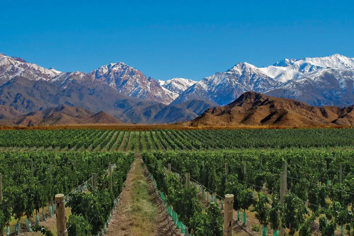 Mendoza et la cordillère