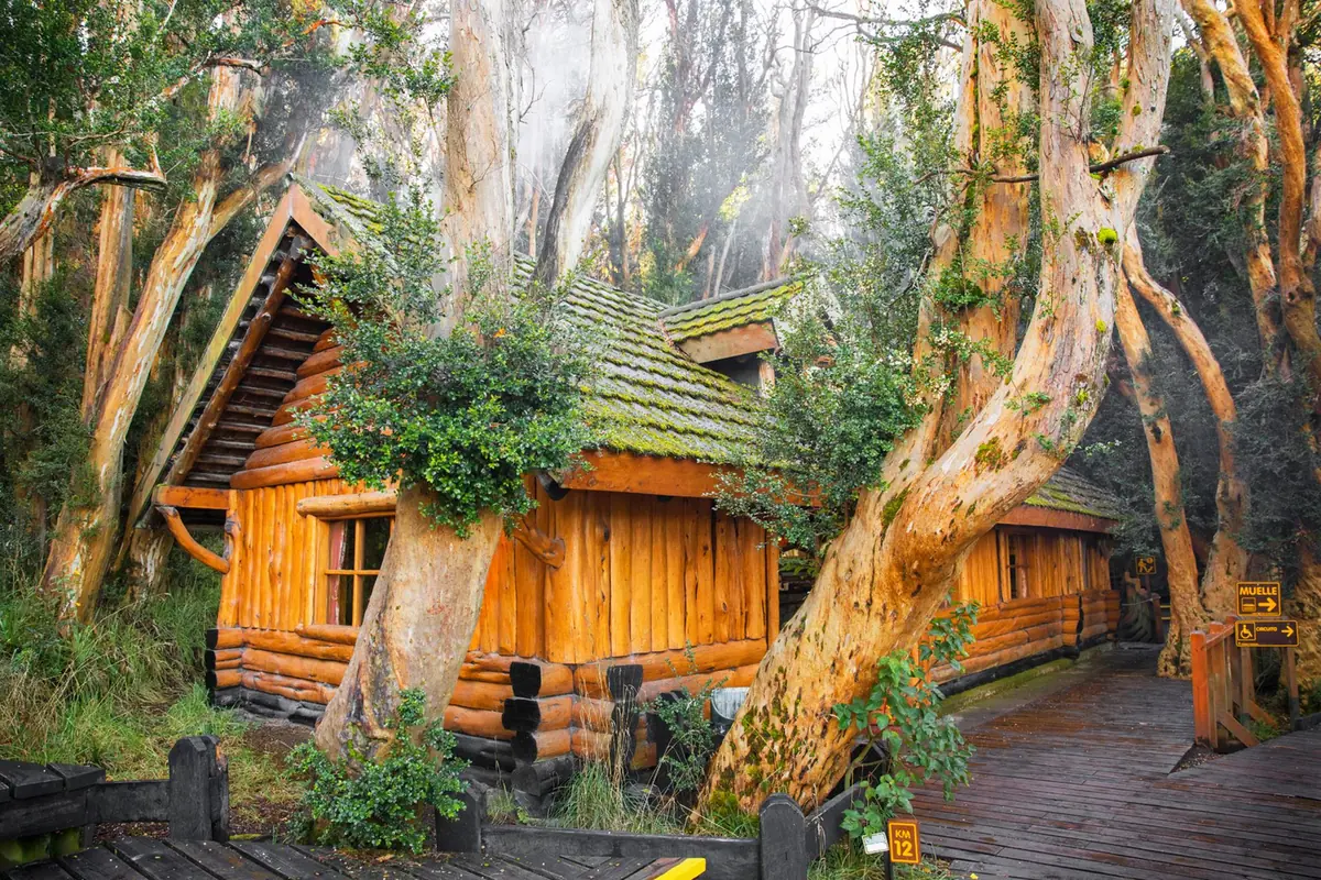 Forêt d'Arrayanes