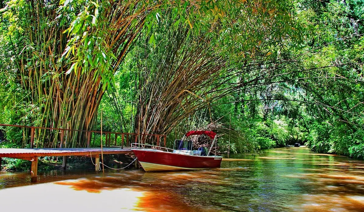 Tigre Argentina