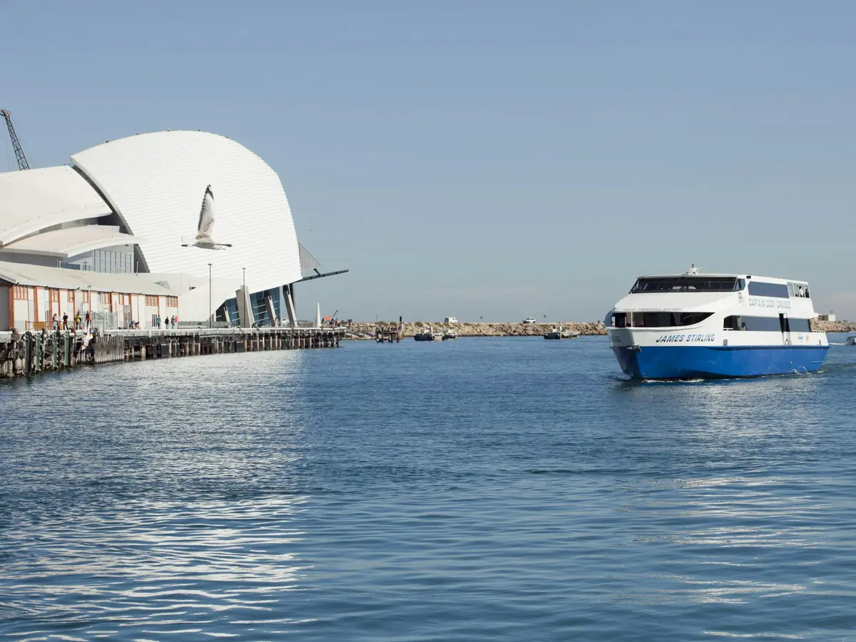 Rivière Swan