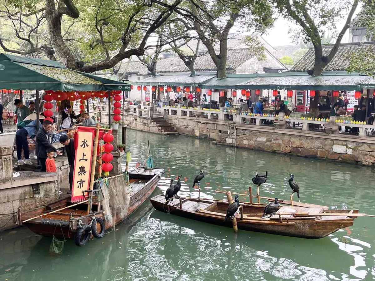 Tongli