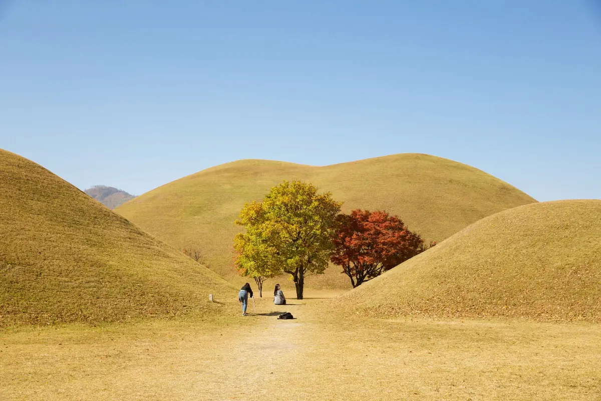 Parc des Tumuli