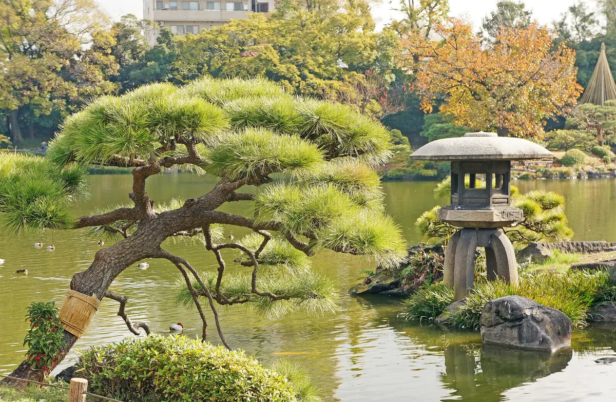 Jardin Kiyosumi