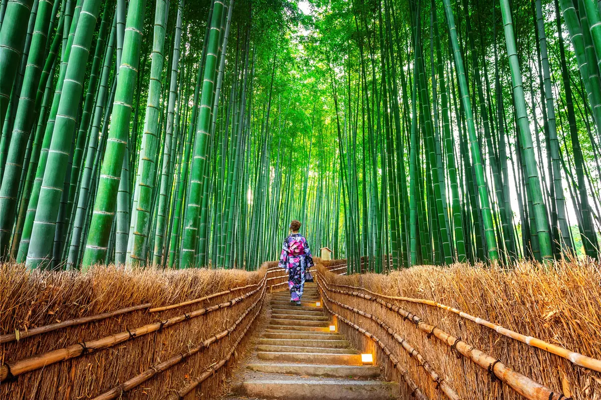 Arashiyama et forêt de bambous